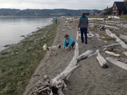 Teddy and Annika enjoy Sunlight Beach, with Robin and Katie in the background.