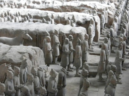 The terra cotta warriors 