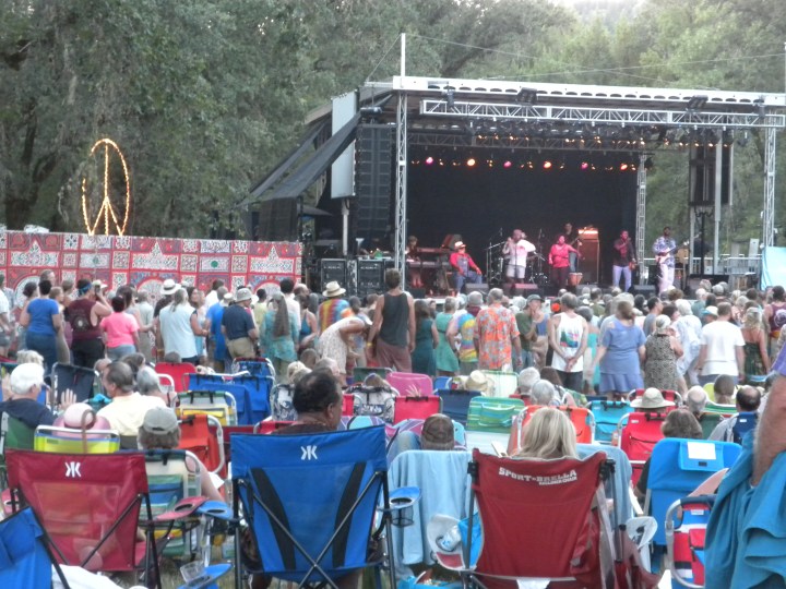 Some of the festival crowd listening to the Playing for Change Band.