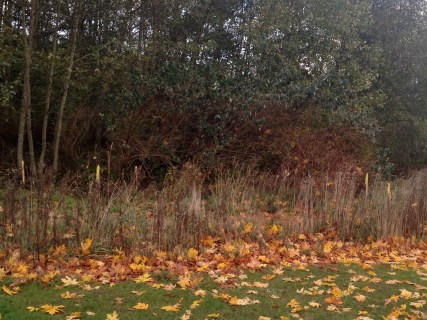 The stakes with yellow flags show where the east side of the house will be.