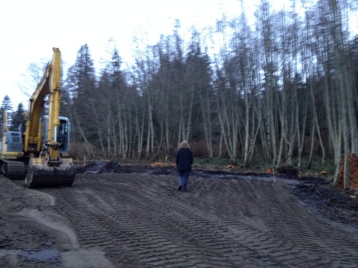 Robin inspects the construction site.