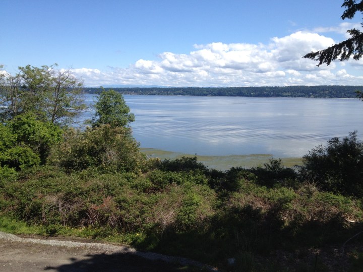 The view from the living room on the second floor. Unfortunately Mount Baker was not visible.