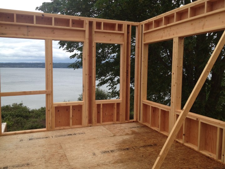 View from the study, which has a very large tree right next to it