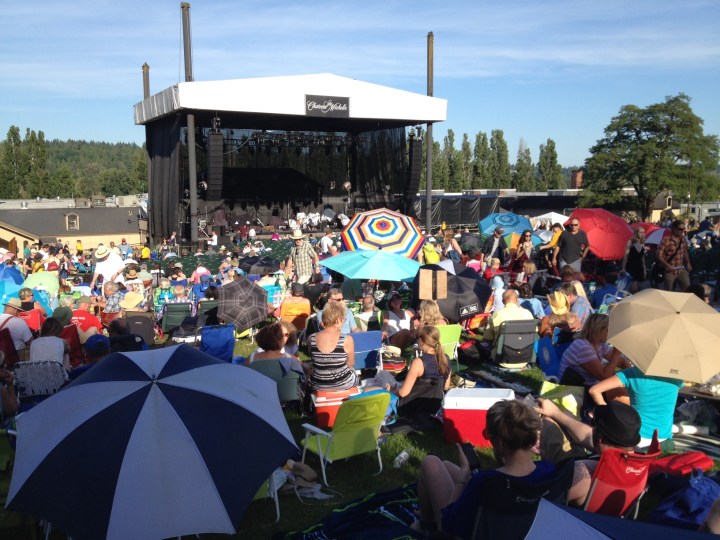 The crowd on the law and Chateau Ste. Michelle winery, waiting for Dylan