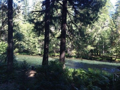 View of the Mckenzie River from our cabin