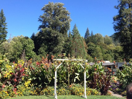 The arbor for the wedding, made by Robin's brother, Mark.