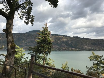 The Columbia River, from our motel