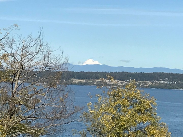 Our view, from near to far: Saratoga Passage, Camano island, the mainland, Mount Baker.