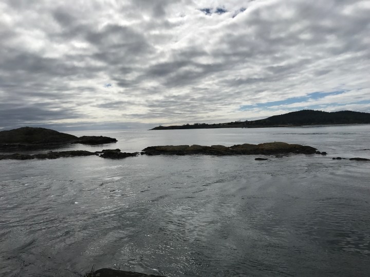 The view from the ferry