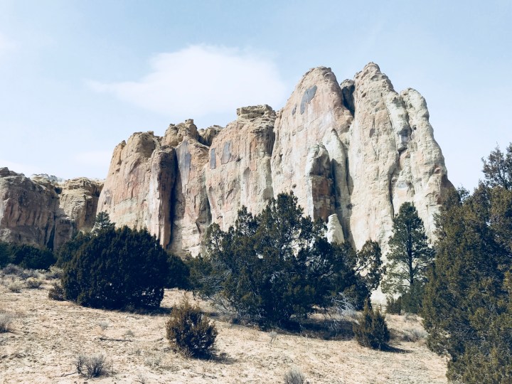 2F7385D8-27EF-4563-A8A5-D13B061D411B