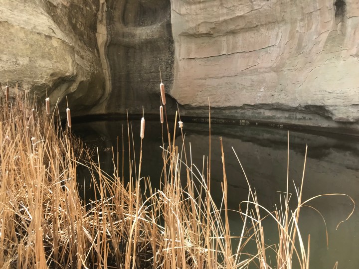 508BA6E4-29EA-4685-A308-2C6FE351AC7E