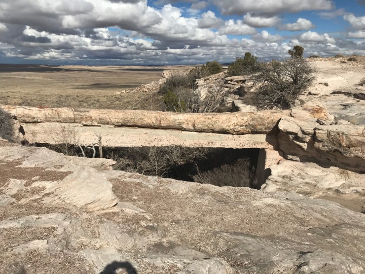 572529AD-F314-4E23-927E-FDC6AF078661