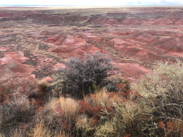 64EC552A-D277-415F-A030-B96D585C3B4D