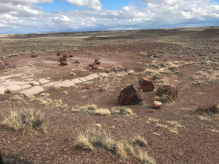 691AD04D-BD0C-4501-8068-FBE36CFD5740