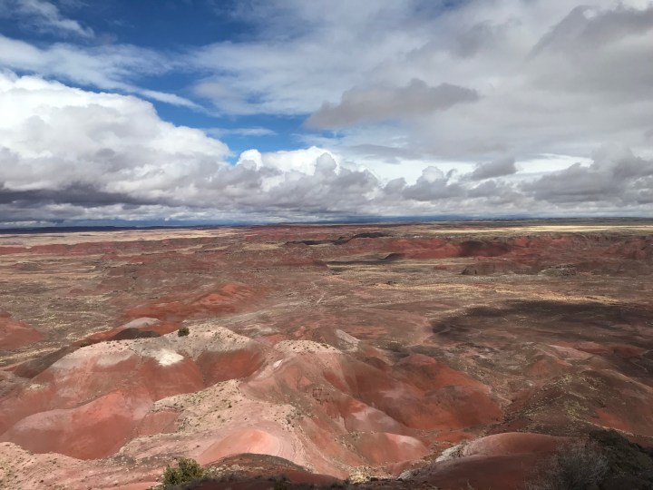 B2D1E565-C2EC-4373-B660-001F8EEBC22E