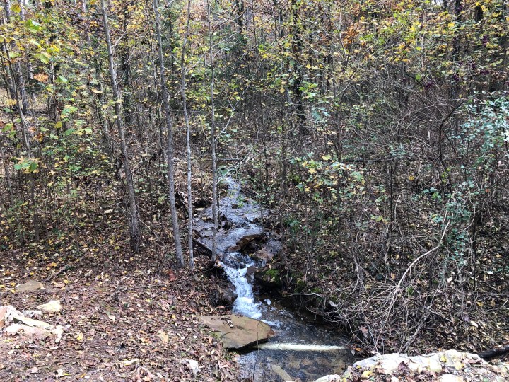 One of the many streams that run through the park