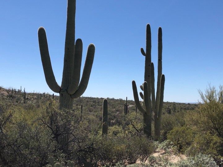 D3C29D89-18B7-45EC-8EBE-66462A64B169